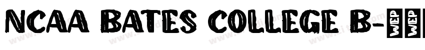 NCAA Bates College B字体转换